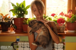 Animalistic erotica   NakedTeen.photos