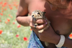 Attention grabbing Bushy Youngster   NakedTeen.photos