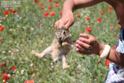 Attention grabbing Bushy Youngster   NakedTeen.photos