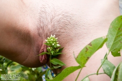 Bare in yard   NakedTeen.photos