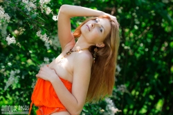 Flower in my lawn   NakedTeen.photos