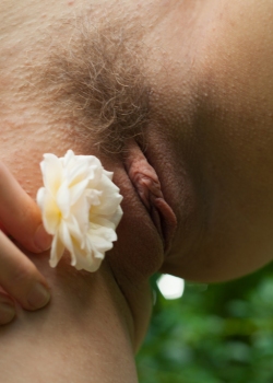 Flower of lust
