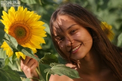 Funky photo session with sunflowers   NakedTeen.photos