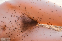 Grimy with sand   NakedTeen.photos