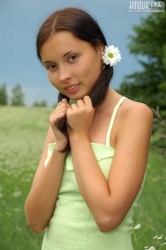 Improbable Angel with Chamomiles   NakedTeen.photos