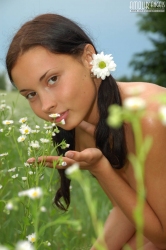 Improbable Angel with Chamomiles   NakedTeen.photos